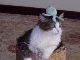 11-0910 İst (4).JPG